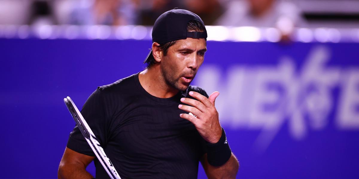 Feliciano López y Verdasco, reclamos del nuevo Open Comunidad de Madrid