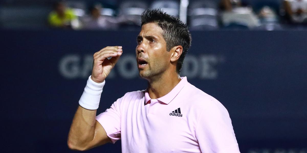 Verdasco: Hay que seguir hasta que ese animal se apague