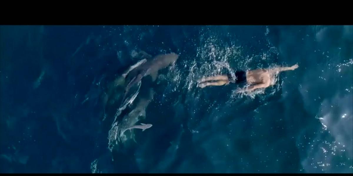 Las impresionantes imágenes de Pablo Fernández nadando junto a tiburones