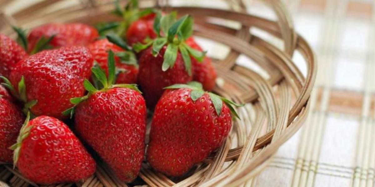 Alerta alimentaria por la detección de hepatitis A en fresas procedentes de Marruecos