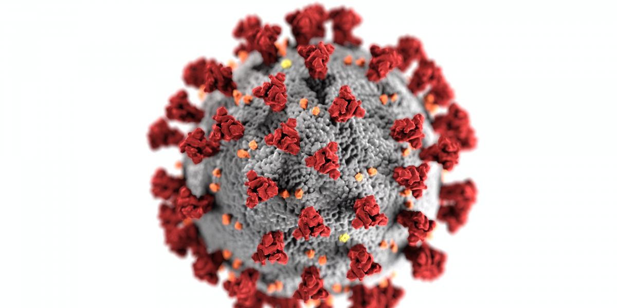 Alerta sanitaria: expertos informan sobre el brote de una fiebre viral parecida al Ébola