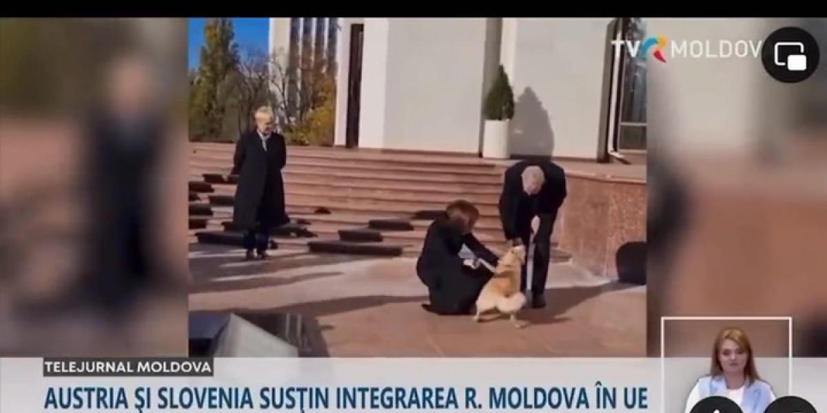 El perro de la presidenta de Moldavia muerde al presidente de Austria cuando este quería acariciarlo