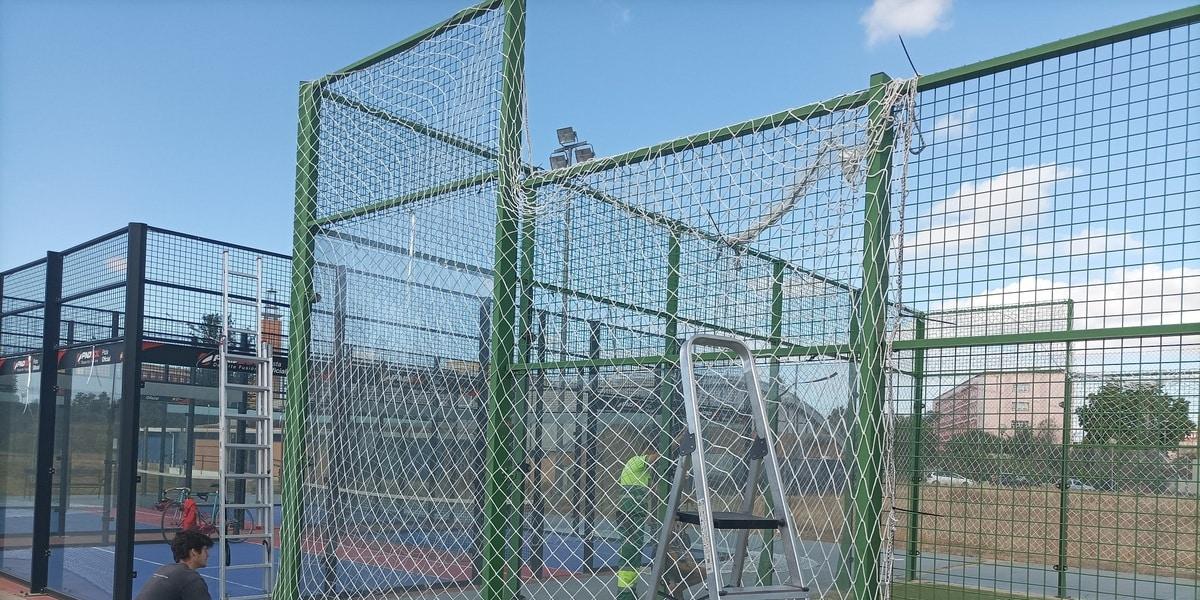 El efecto negativo de las pistas de pádel: un peligro en aumento para las aves