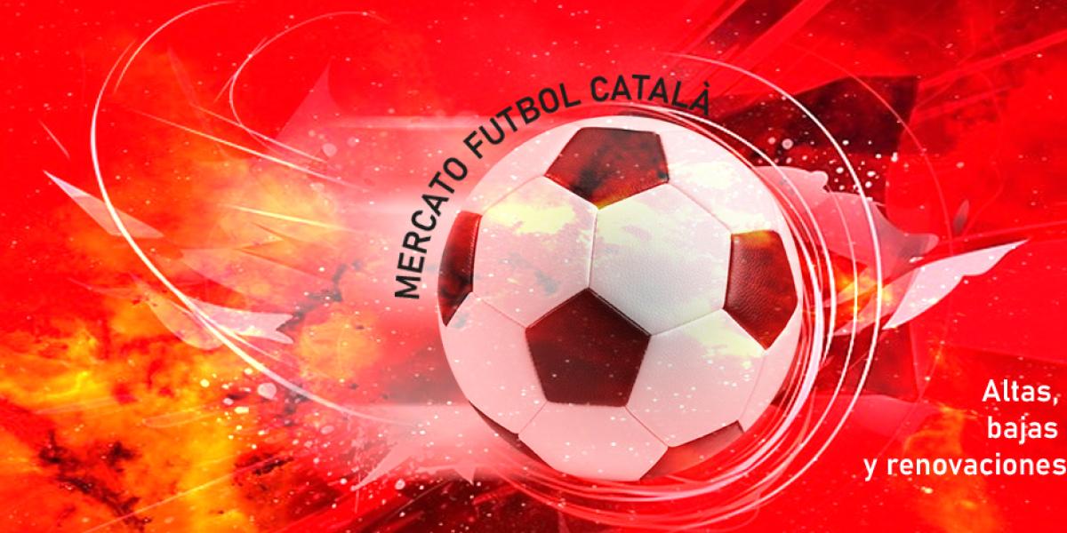 Altas, bajas y renovaciones