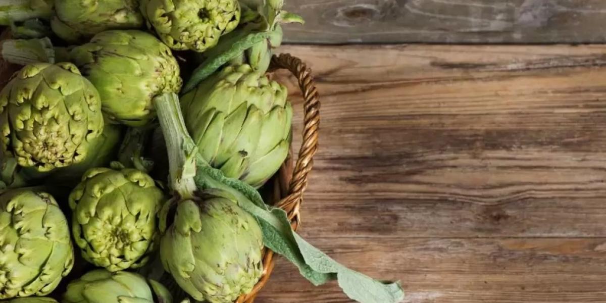 Mejores suplementos a base de alcachofa y sus principales beneficios