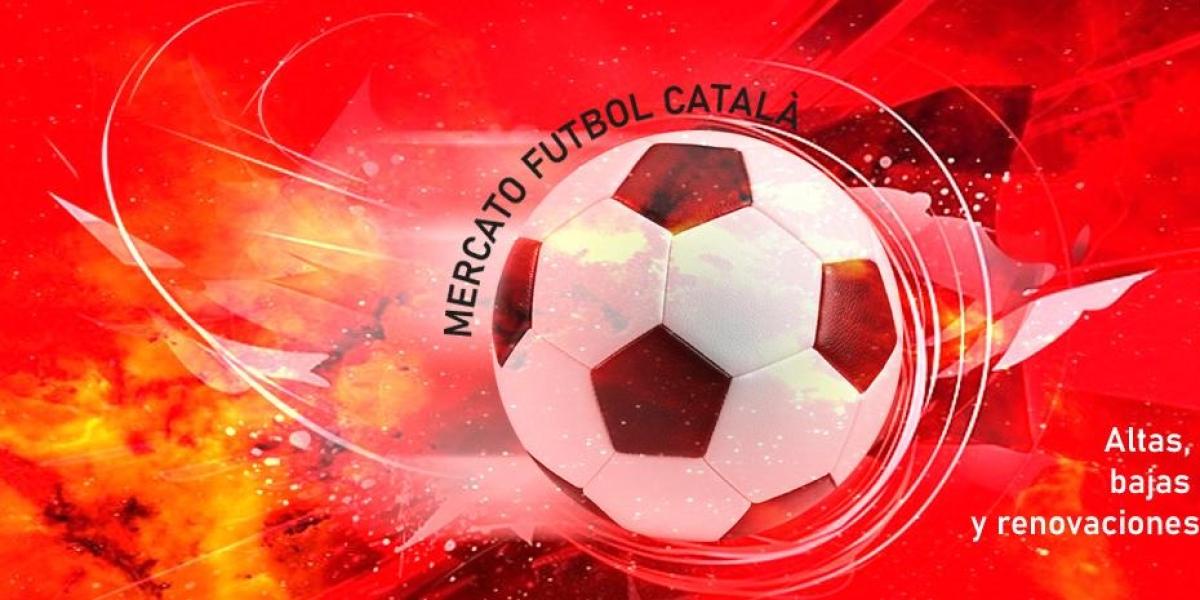 Altas, bajas y renovaciones