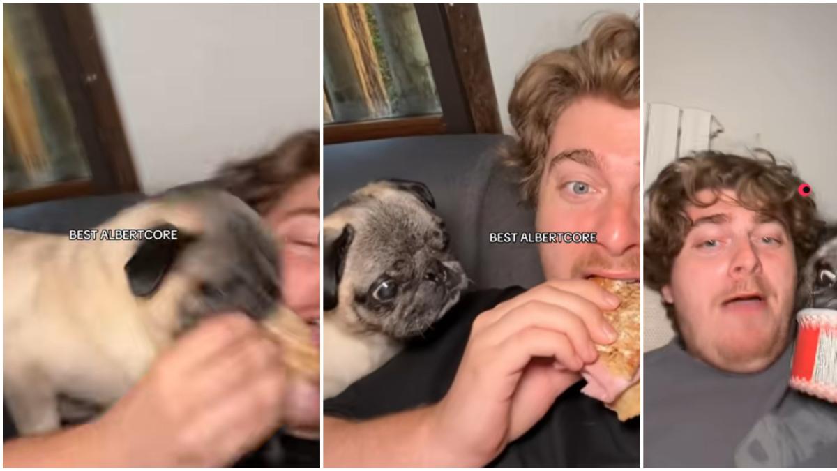 El Carlino que ha conquistado a las redes con sus ansias de comer: Cualquiera pensaría que lo mata de hambre