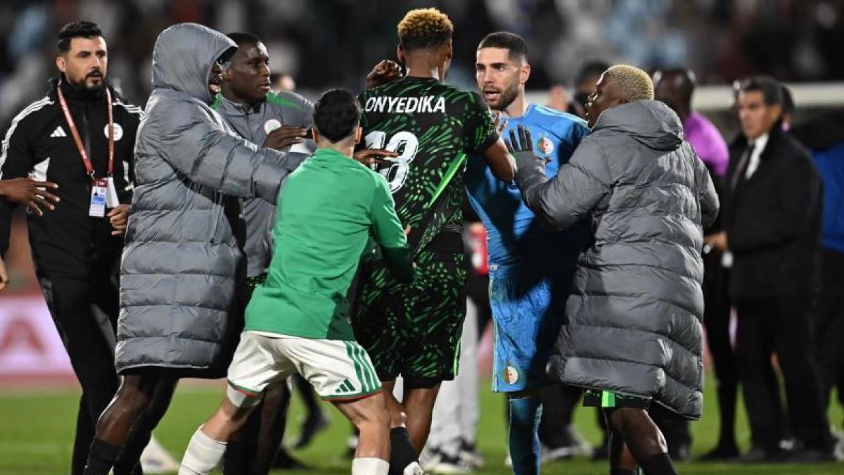 Inaceptable: jugadores, directivos y periodistas, investigados tras las brutales peleas en Marruecos